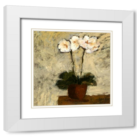 Orchid 1 White Modern Wood Framed Art Print with Double Matting by Bagnato, Judi