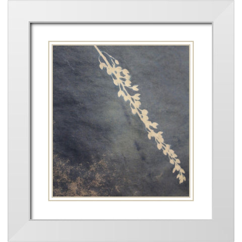 Fern White Modern Wood Framed Art Print with Double Matting by Blue