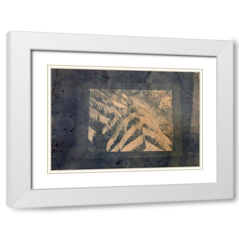 Ferns Framed White Modern Wood Framed Art Print with Double Matting by Blue