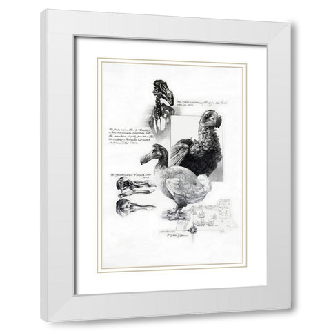Dodo White Modern Wood Framed Art Print with Double Matting by Dean, Bruce