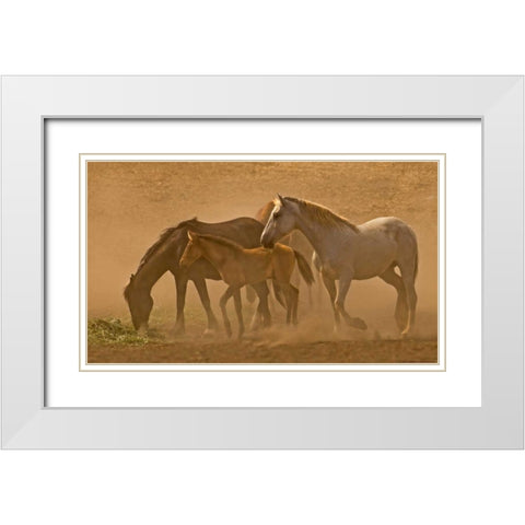 Daybreak White Modern Wood Framed Art Print with Double Matting by Linden, Sally