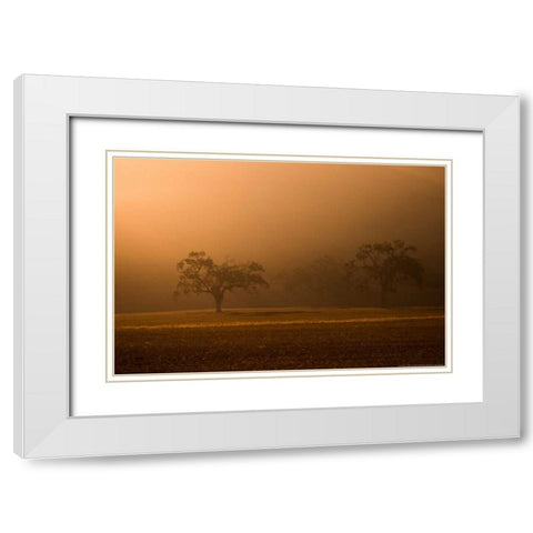 Sun Rising White Modern Wood Framed Art Print with Double Matting by Linden, Sally