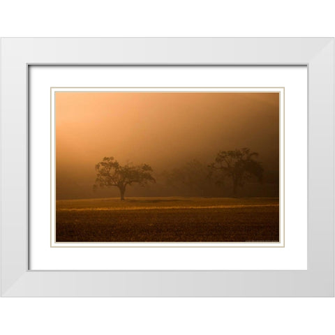 Sun Rising White Modern Wood Framed Art Print with Double Matting by Linden, Sally