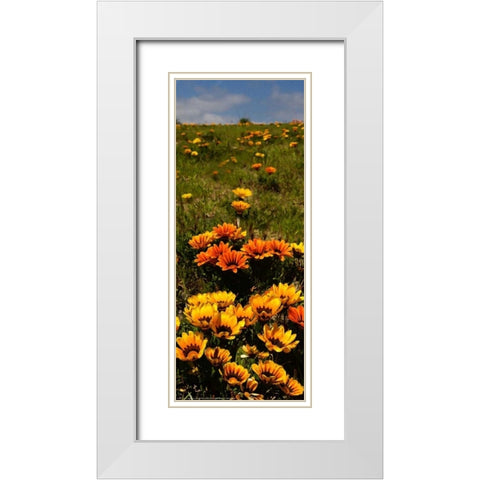 Flower Field White Modern Wood Framed Art Print with Double Matting by Linden, Sally