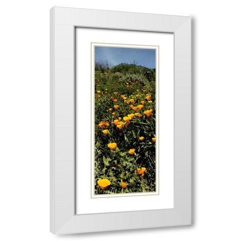 Poppy Stream White Modern Wood Framed Art Print with Double Matting by Linden, Sally