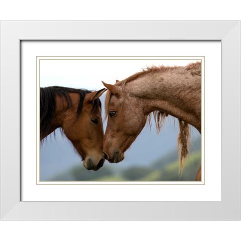 Meadow Two White Modern Wood Framed Art Print with Double Matting by Linden, Sally