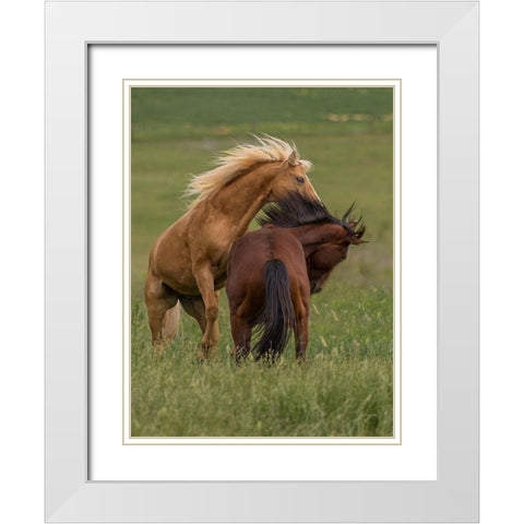 Horse Play White Modern Wood Framed Art Print with Double Matting by Linden, Sally