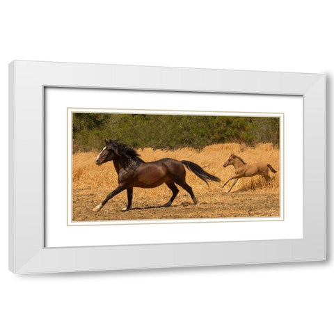 Amante and Amber White Modern Wood Framed Art Print with Double Matting by Linden, Sally