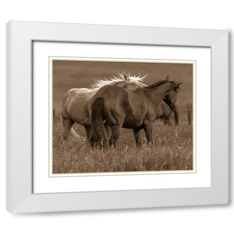 Horse Walk White Modern Wood Framed Art Print with Double Matting by Linden, Sally