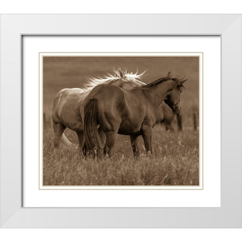 Horse Walk White Modern Wood Framed Art Print with Double Matting by Linden, Sally
