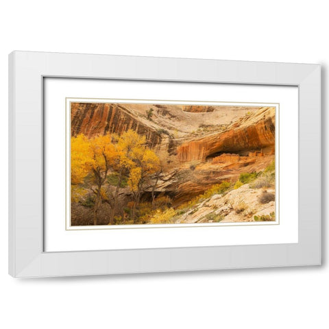 Anastzi Homeland White Modern Wood Framed Art Print with Double Matting by Linden, Sally