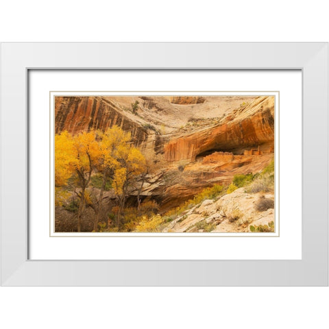 Anastzi Homeland White Modern Wood Framed Art Print with Double Matting by Linden, Sally