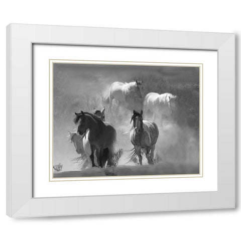 Choctaw Run White Modern Wood Framed Art Print with Double Matting by Linden, Sally