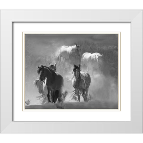 Choctaw Run White Modern Wood Framed Art Print with Double Matting by Linden, Sally