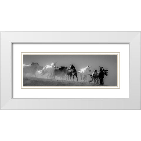 Choctaw BW White Modern Wood Framed Art Print with Double Matting by Linden, Sally