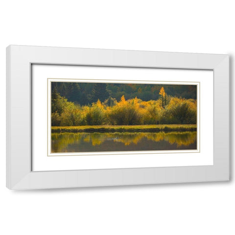Ducks In A Row White Modern Wood Framed Art Print with Double Matting by Linden, Sally
