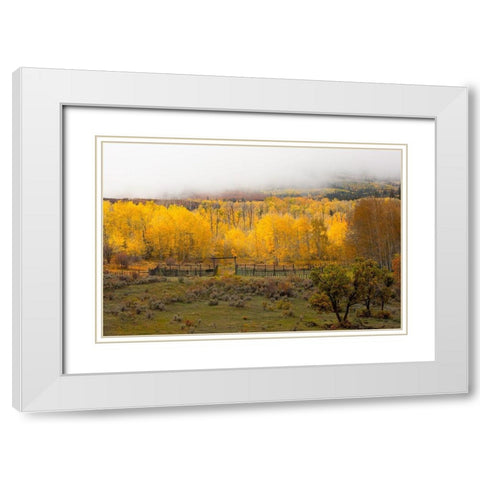 Fall and Fog White Modern Wood Framed Art Print with Double Matting by Linden, Sally