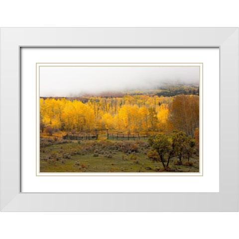 Fall and Fog White Modern Wood Framed Art Print with Double Matting by Linden, Sally