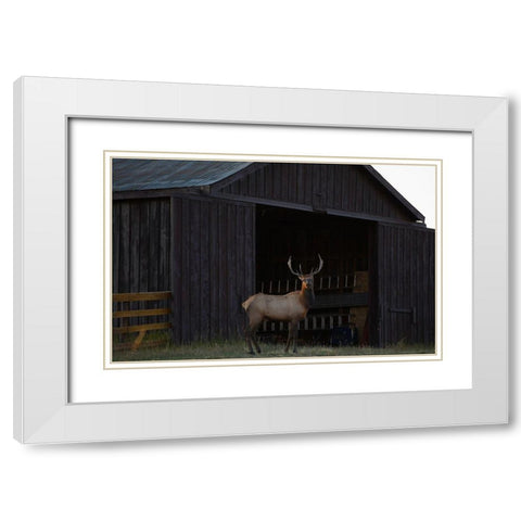 Eat Your Heart Out Hunters White Modern Wood Framed Art Print with Double Matting by Linden, Sally