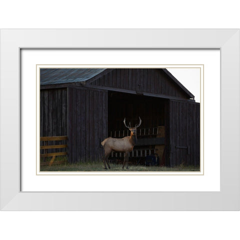 Eat Your Heart Out Hunters White Modern Wood Framed Art Print with Double Matting by Linden, Sally