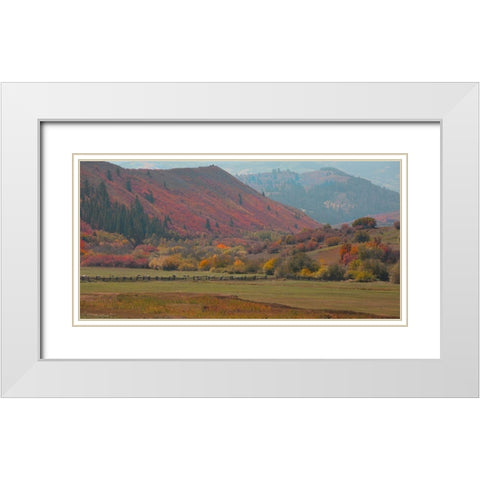 Fall and Sheep White Modern Wood Framed Art Print with Double Matting by Linden, Sally