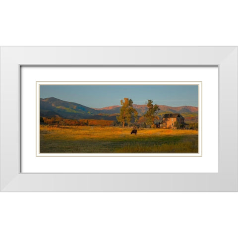Fall Grazing White Modern Wood Framed Art Print with Double Matting by Linden, Sally