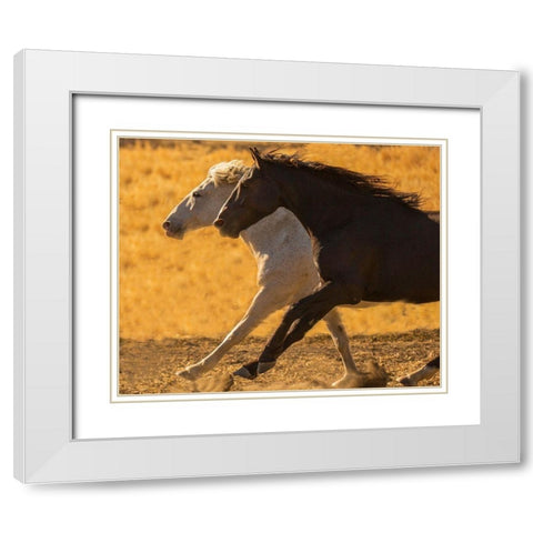 Horse Race White Modern Wood Framed Art Print with Double Matting by Linden, Sally