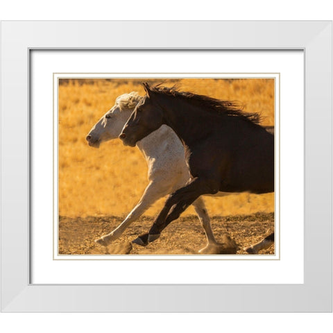 Horse Race White Modern Wood Framed Art Print with Double Matting by Linden, Sally