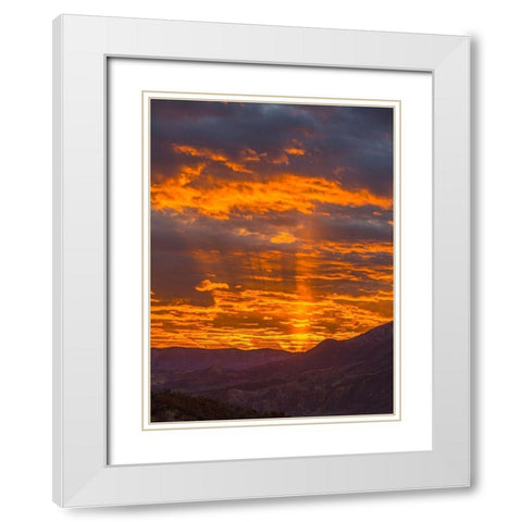 Lookout Mountian White Modern Wood Framed Art Print with Double Matting by Linden, Sally