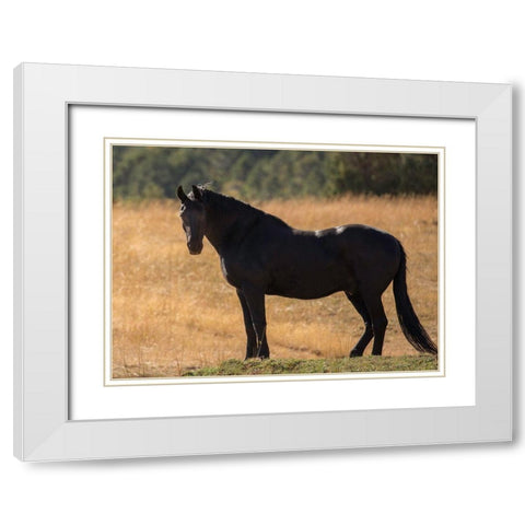 Most Beautiful Black White Modern Wood Framed Art Print with Double Matting by Linden, Sally