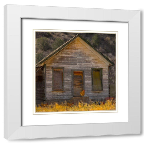Rooster House White Modern Wood Framed Art Print with Double Matting by Linden, Sally