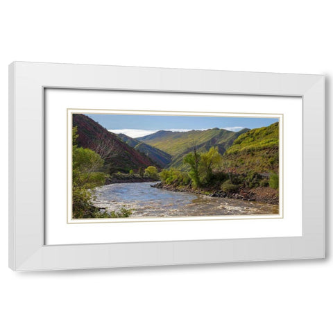 South Canyon Spring White Modern Wood Framed Art Print with Double Matting by Linden, Sally