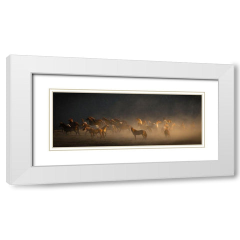 Wild Horses White Modern Wood Framed Art Print with Double Matting by Linden, Sally