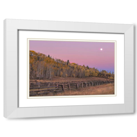 Sunrise Rideway White Modern Wood Framed Art Print with Double Matting by Linden, Sally