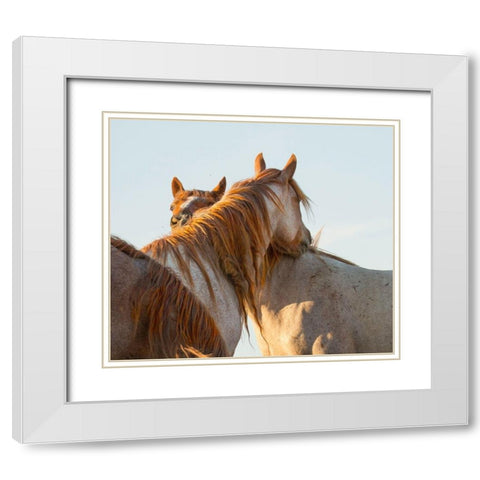 You Scratch My Back White Modern Wood Framed Art Print with Double Matting by Linden, Sally