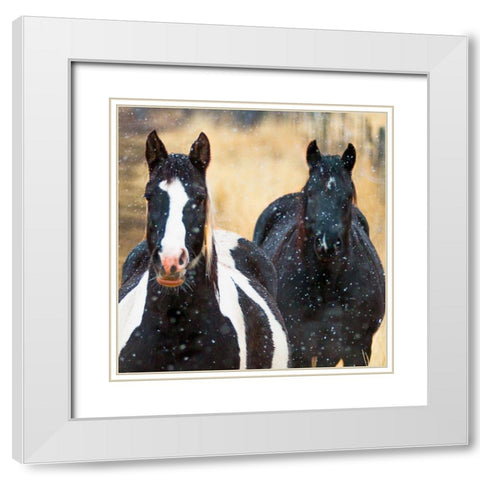 Snowy Horses 2 White Modern Wood Framed Art Print with Double Matting by Linden, Sally
