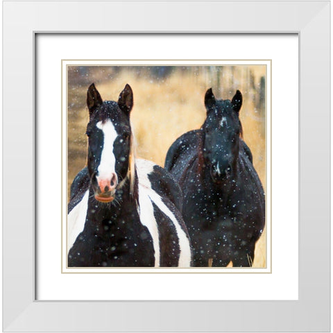 Snowy Horses 2 White Modern Wood Framed Art Print with Double Matting by Linden, Sally
