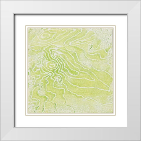 The Mix White Modern Wood Framed Art Print with Double Matting by Van, Laura