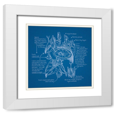 Blueprints 3 White Modern Wood Framed Art Print with Double Matting by Nobleworks, Inc.