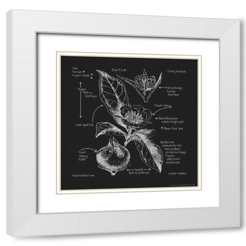 Blueprints 8 White Modern Wood Framed Art Print with Double Matting by Nobleworks, Inc.