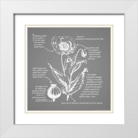 Blueprints 9 White Modern Wood Framed Art Print with Double Matting by Nobleworks, Inc.
