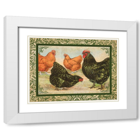 Chicken 2 White Modern Wood Framed Art Print with Double Matting by Nobleworks, Inc.