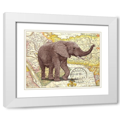 Trunk 1 White Modern Wood Framed Art Print with Double Matting by Nobleworks, Inc.