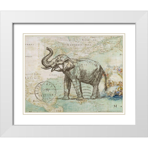 Trunk 2 White Modern Wood Framed Art Print with Double Matting by Nobleworks, Inc.