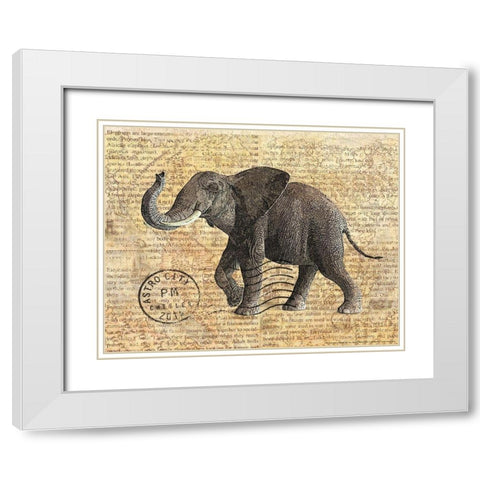 Truck 3 White Modern Wood Framed Art Print with Double Matting by Nobleworks, Inc.