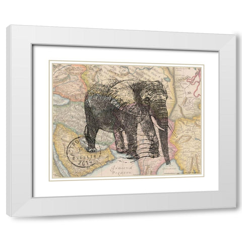 Trunk 4 White Modern Wood Framed Art Print with Double Matting by Nobleworks, Inc.