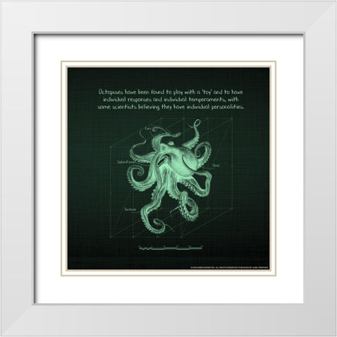 Octoprint 3 White Modern Wood Framed Art Print with Double Matting by Nobleworks, Inc.