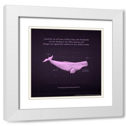 Whaleprint 1 White Modern Wood Framed Art Print with Double Matting by Nobleworks, Inc.