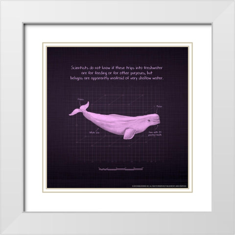 Whaleprint 1 White Modern Wood Framed Art Print with Double Matting by Nobleworks, Inc.