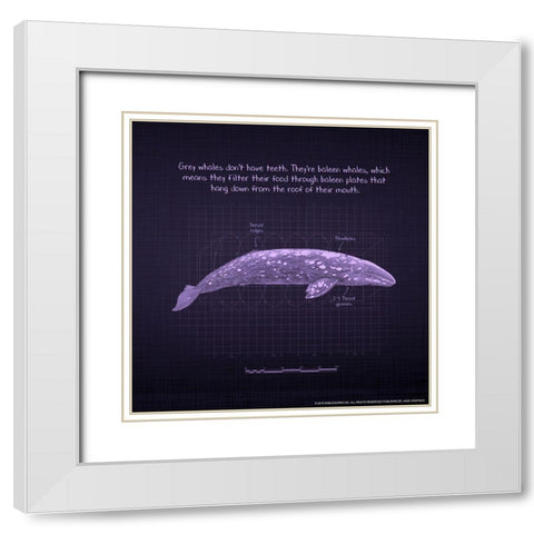 Whaleprint 2 White Modern Wood Framed Art Print with Double Matting by Nobleworks, Inc.